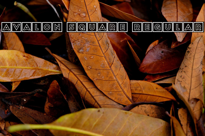 Avalon Square Regular Example 1