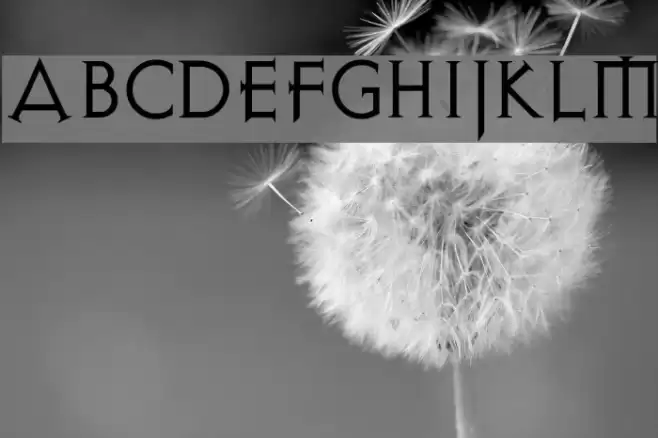 AvalonQuest Font examples