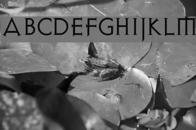 AvalonQuest Font examples