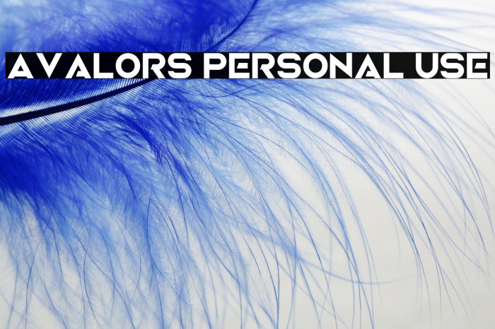 Avalors Personal Use Example 1