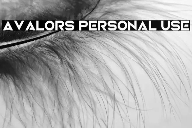 Avalors Personal Use Example 1