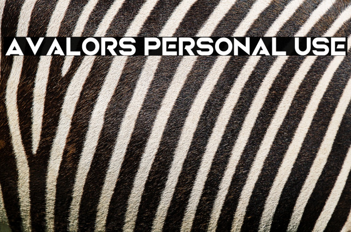 Avalors Personal Use Example 3