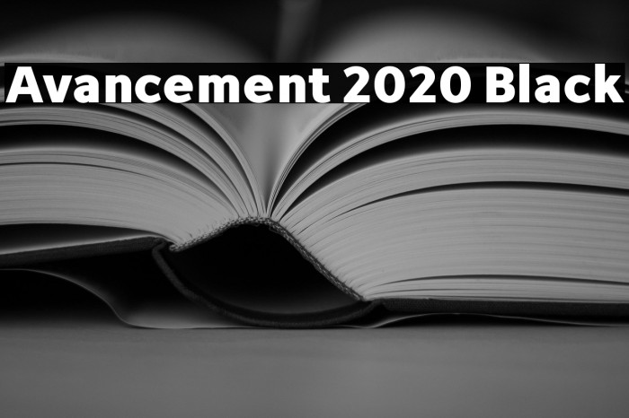 Avancement 2020 Black Example 1