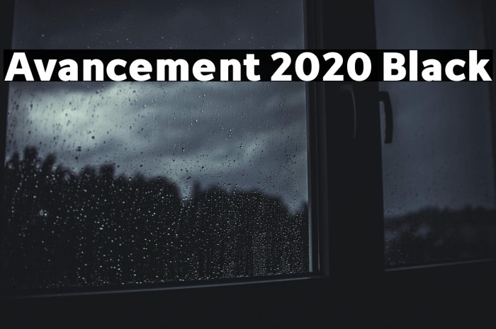 Avancement 2020 Black Example 3
