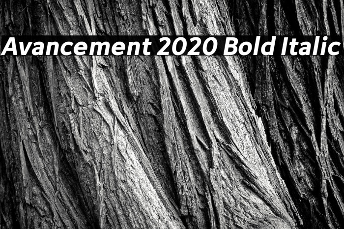 Avancement 2020 Bold Italic Example 3