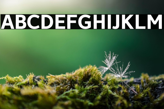 Avancement 2020 Bold Example 2