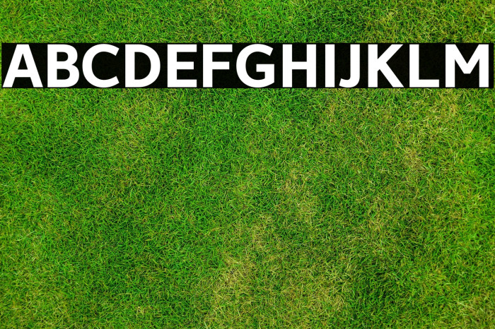 Avancement 2020 Bold Example 3