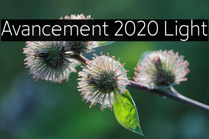 Avancement 2020 Light Example 1