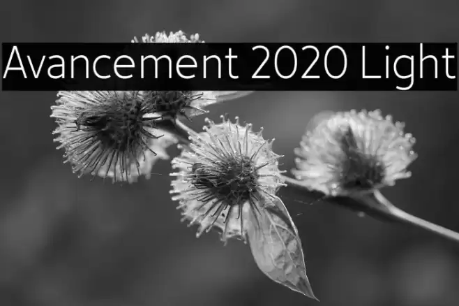 Avancement 2020 Light Font examples