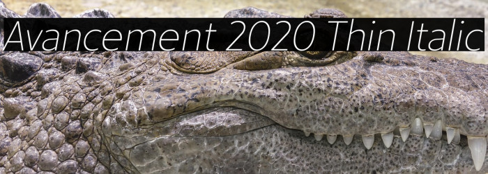 Avancement 2020 Thin Italic Example 3