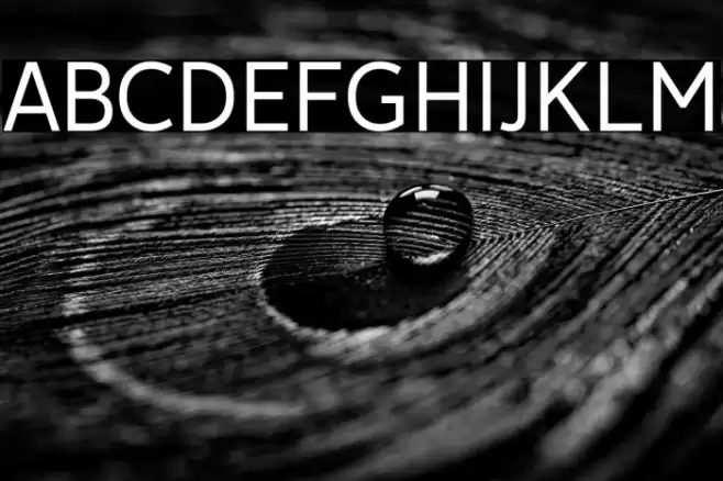 Avancement 2020 Font examples