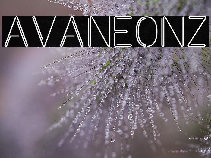 Avaneonz Example 3