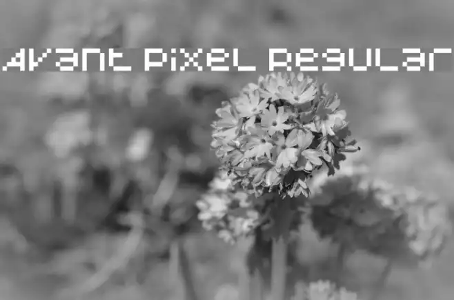 Avant Pixel Regular Example 1