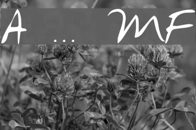 Avant que... MF Font examples