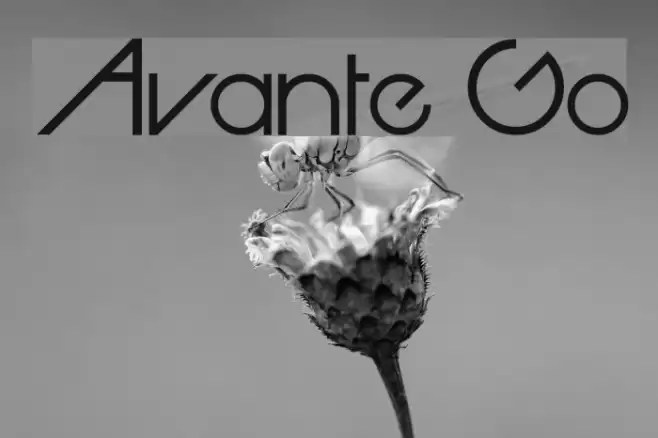 Avante Go Font examples