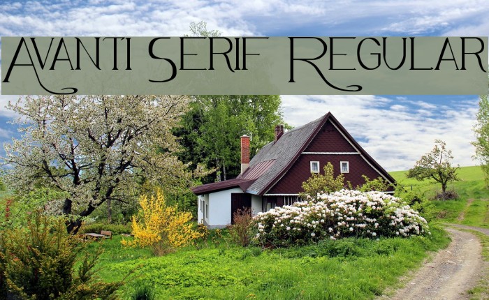 Avanti Serif Regular Font examples