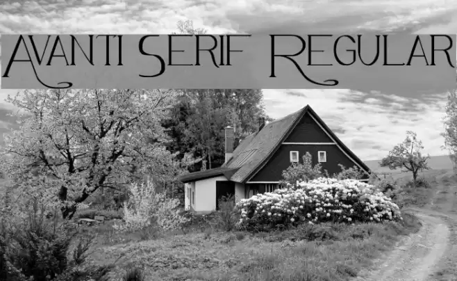 Avanti Serif Regular Font examples