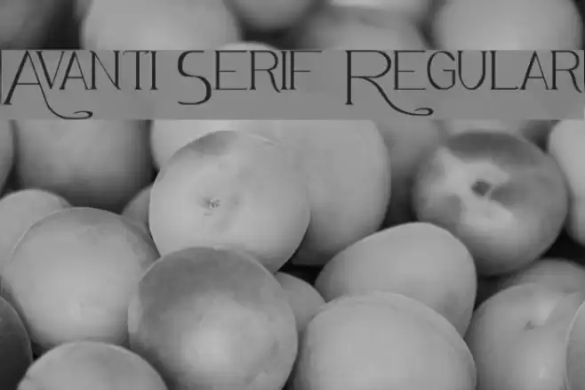 Avanti Serif Regular Font examples