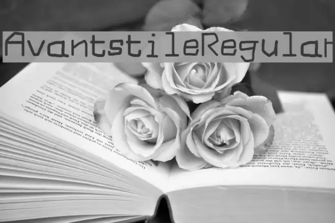 Avantstile Regular Example 2