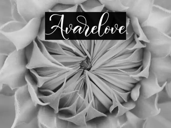 Avarelove Example 2