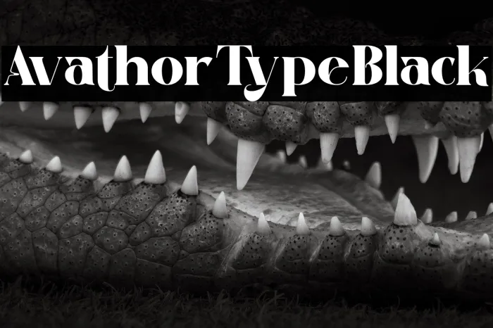 Avathor Type Black Example 2