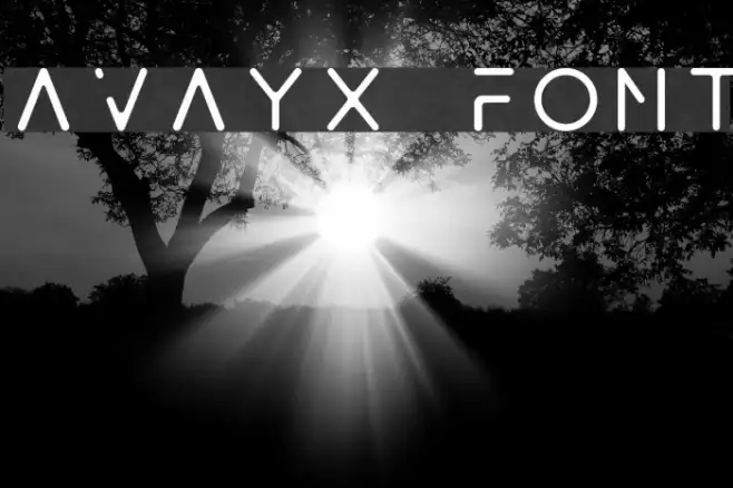 Avayx Example 1