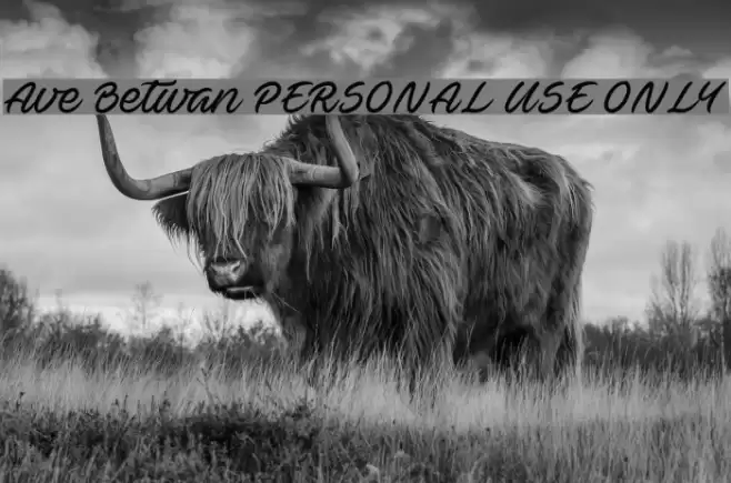 Ave Betwan PERSONAL USE ONLY Font examples