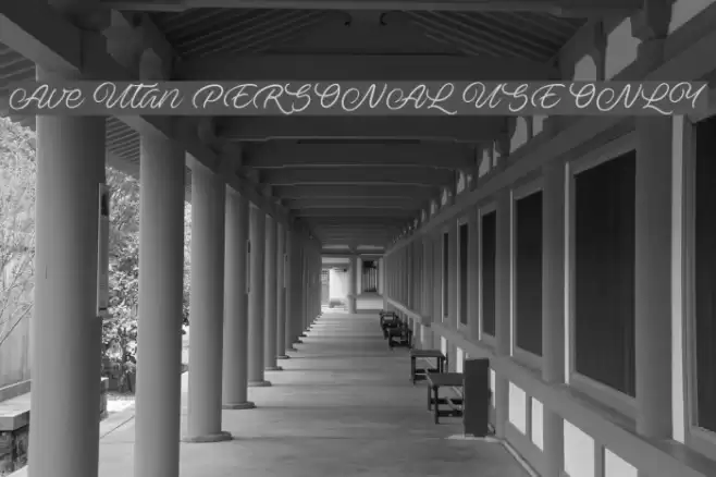 Ave Utan PERSONAL USE ONLY Font examples