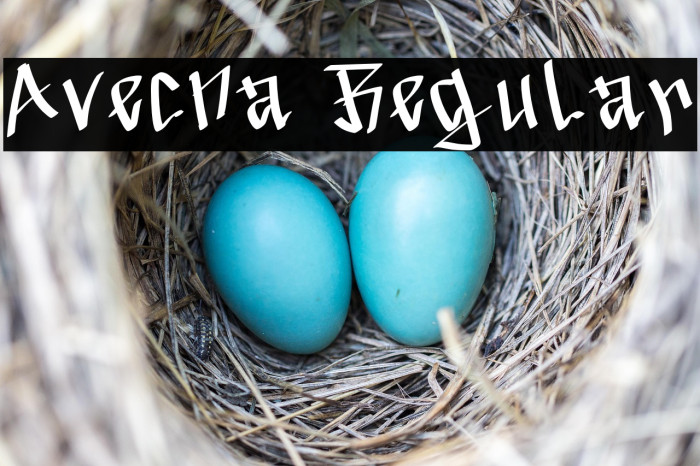 Avecna Regular Example 1