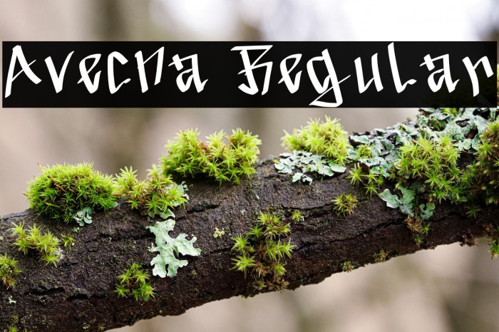 Avecna Regular Example 2