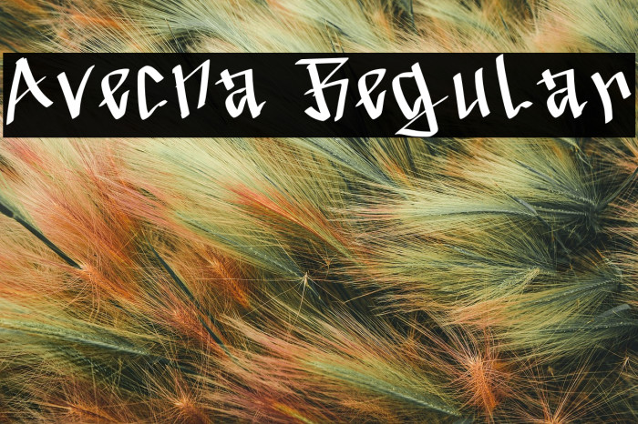 Avecna Regular Example 3