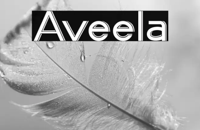 Aveela Example 2