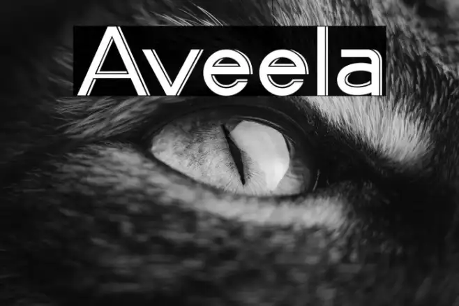 Aveela Example 3
