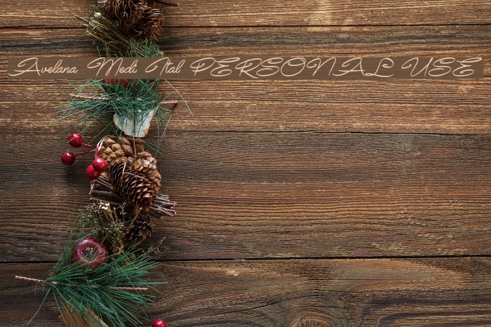 Avelana Medi Ital PERSONAL USE Font examples