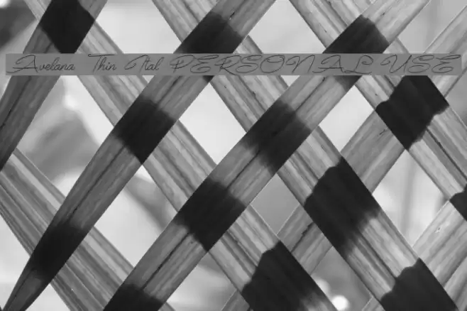 Avelana Thin Ital PERSONAL USE Font examples