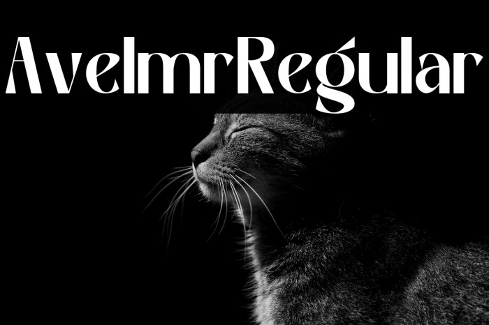 Avelmor Regular Example 2