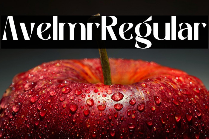 Avelmor Regular Example 3