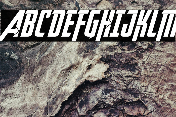 Avengeance Heroic Avenger Bold Example 1