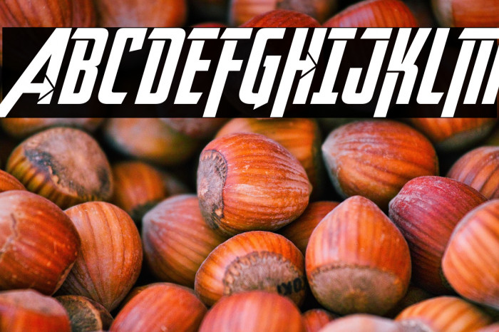 Avengeance Heroic Avenger Bold Example 3