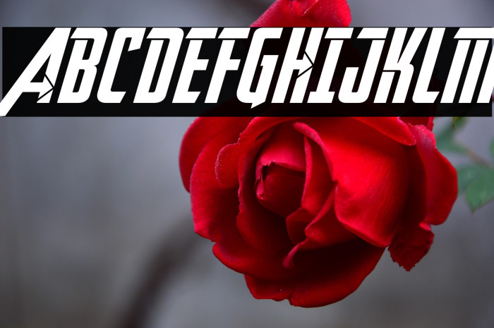 Avengeance Heroic Avenger Italic Example 3