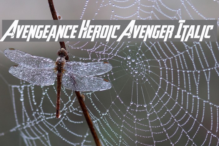 Avengeance Heroic Avenger Italic Example 1