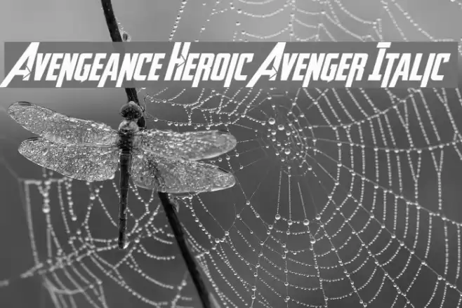 Avengeance Heroic Avenger Italic Font examples