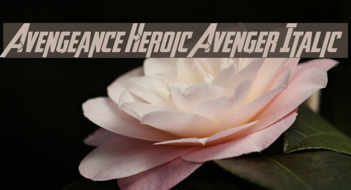 Avengeance Heroic Avenger Italic Example 2