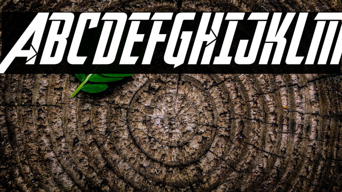 Avengeance Heroic Avenger Normal Example 2