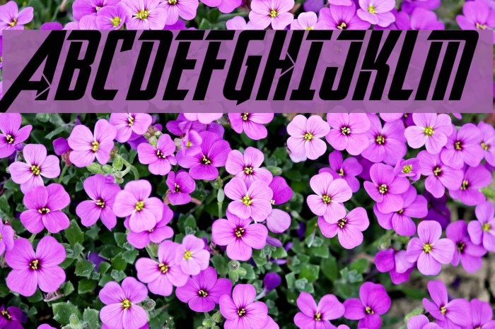 Avengeance Heroic Avenger Normal Font examples