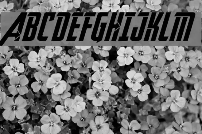 Avengeance Heroic Avenger Normal Font examples