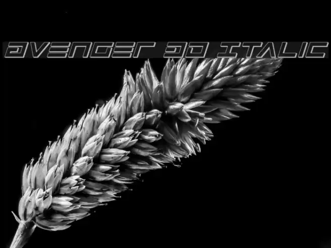Avenger 3D Italic Font examples