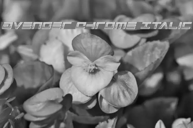 Avenger Chrome Italic Example 1