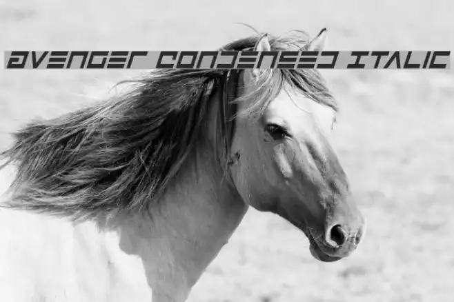 Avenger Condensed Italic Example 1