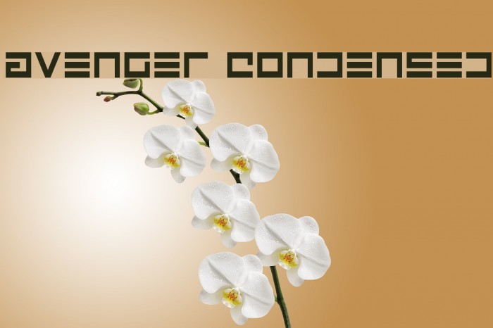 Avenger Condensed Font examples